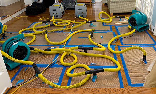 Professional Burst Pipe Water Damage technician working in Cherry Valley, IL